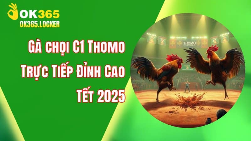 Gà chọi C1 Thomo